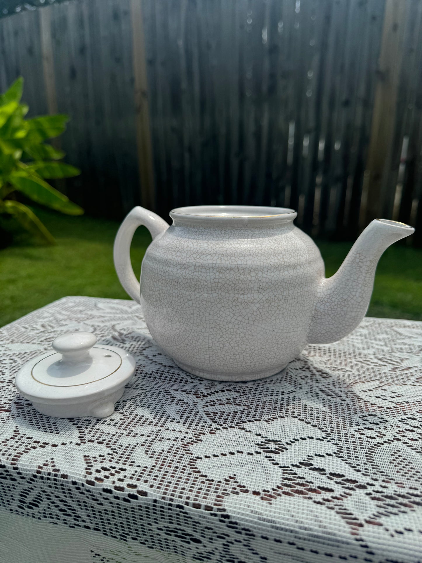 Charming Vintage Floral Teapot